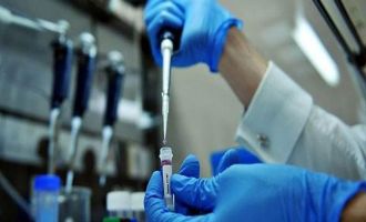 Domuz gribinden 1 kişi daha hayatını kaybetti